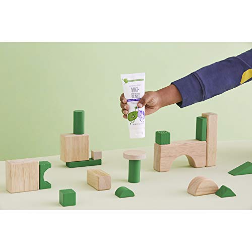 Schmidt's Children's Toothpaste For Clean Teeth, Mint + Berry, Fluoride Free 4.7 oz 6 Count