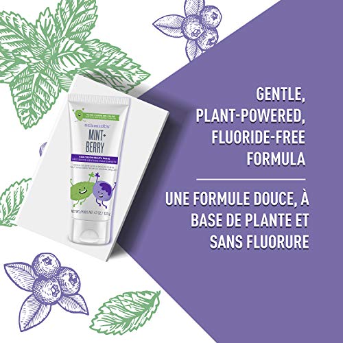 Schmidt's Children's Toothpaste For Clean Teeth, Mint + Berry, Fluoride Free 4.7 oz 6 Count