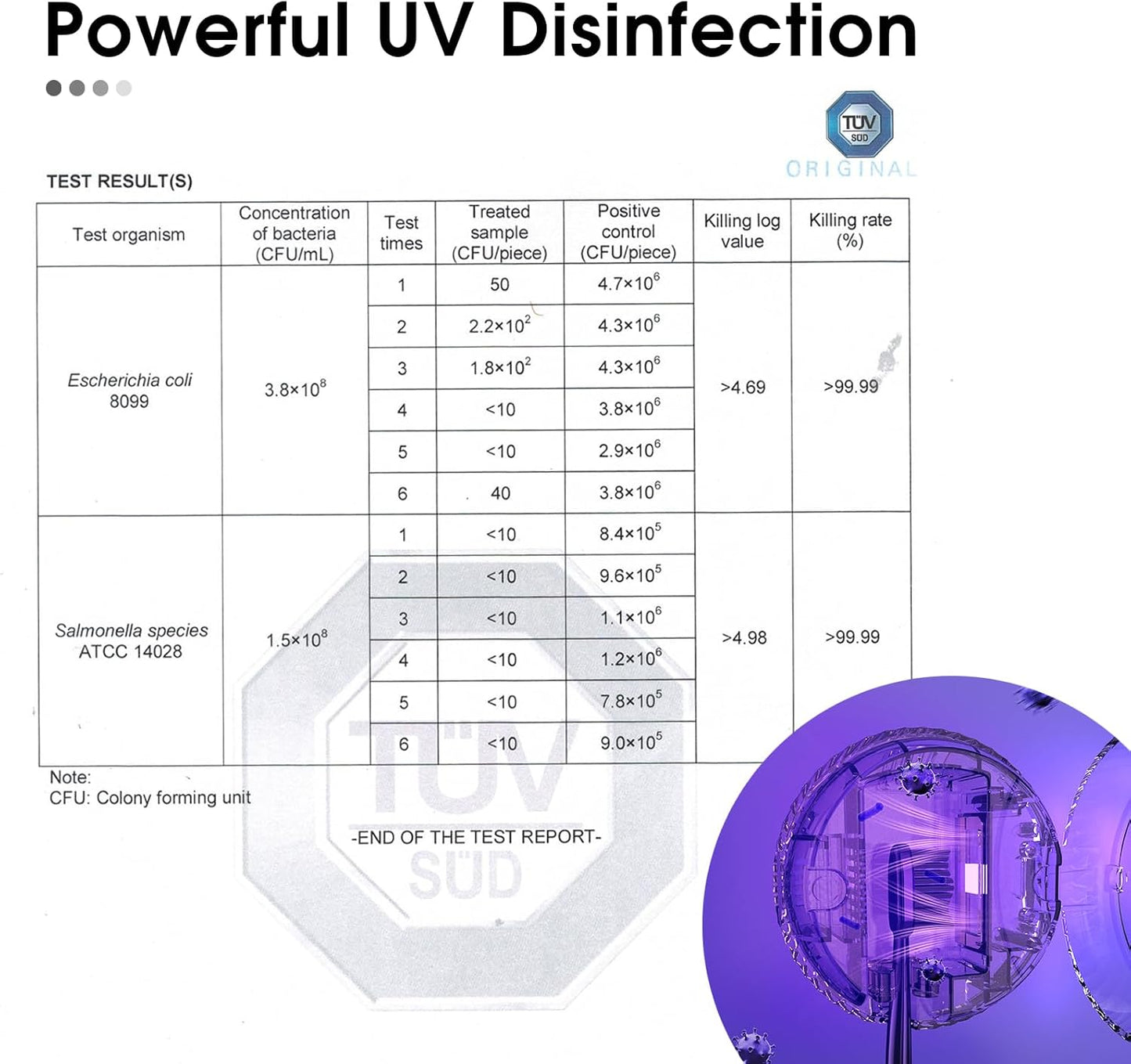 UV Toothbrush Sanitizer Holder – Wall-Mounted Bathroom Accessory for Home & Travel (Black)