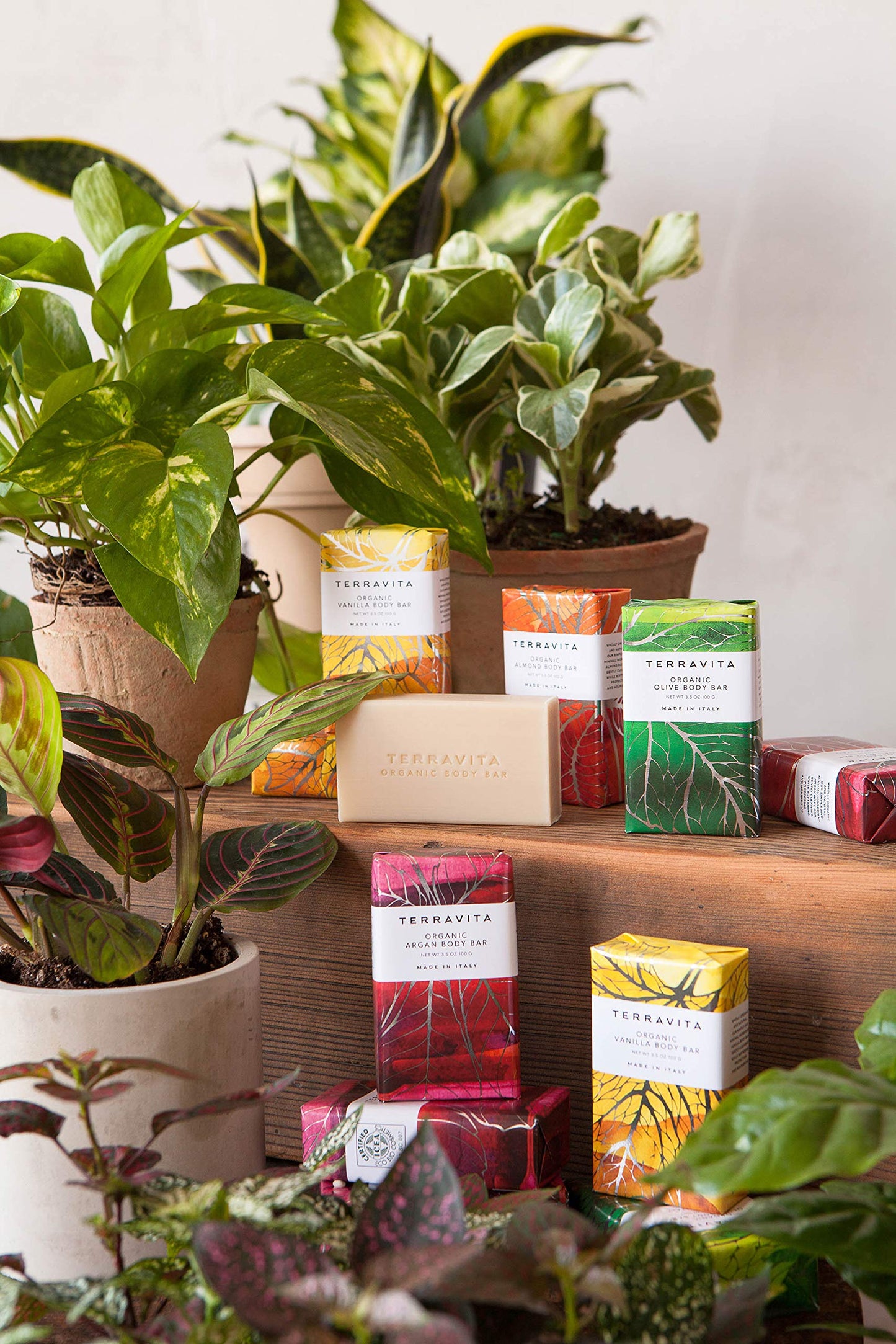 Terravita Organic, Vegan, & Gluten-Free Body Bar Soap, Vanilla, 100 Gram