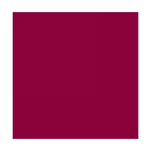 Cyzone Studio Look Matte liquid lipstick with intense color Raspberry 6 ml / 0.20 fl.oz.