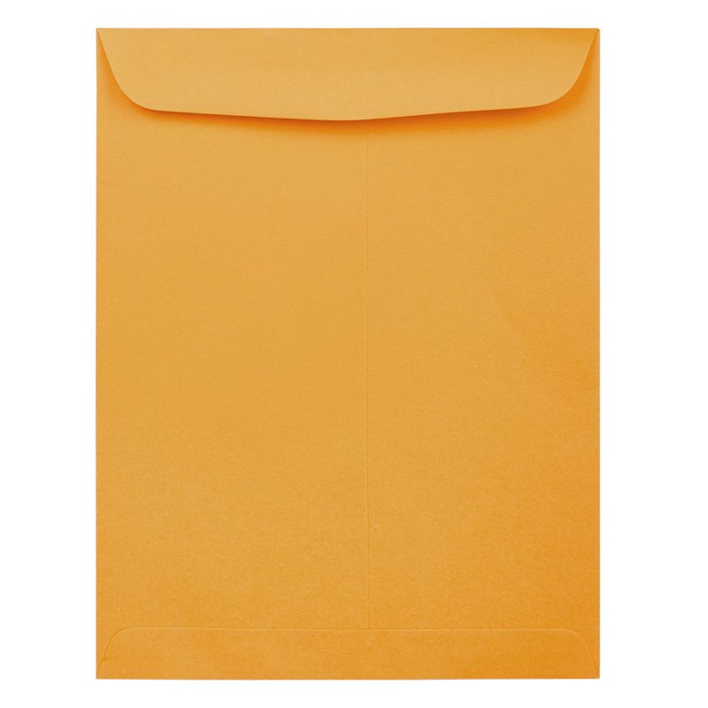 Brown Kraft Manila Catalog Envelopes 12x15.5 Inches, 100 Pack