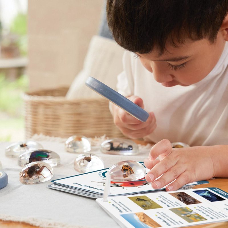 Educational Bug Specimen Stones Set - 9 Pieces for Early Learning