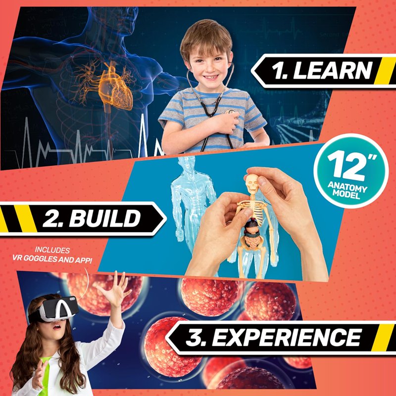 Kids Science Exploration Kit with Anatomical Body Model & VR Goggles