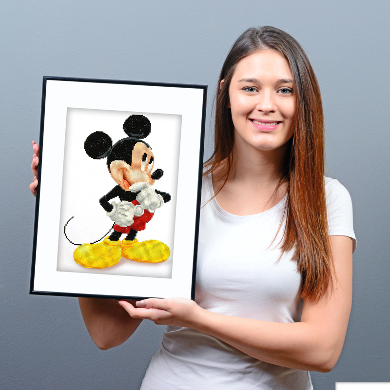 Intermediate Diamond Painting Kit for Characters - Multiple Variants