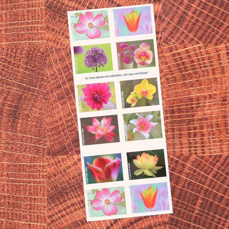 USPS Garden Flower Postage Stamps Book of 20 for First Class Mail