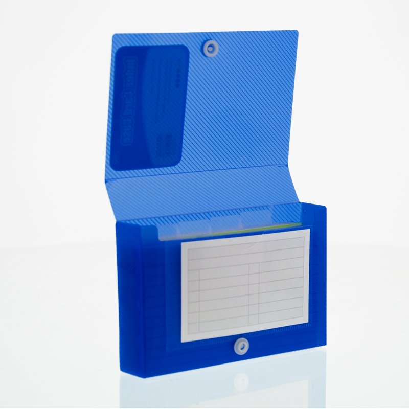 Index Card Organizer Case with 5-Tab Dividers - Holds 100 Cards - 6-Pack