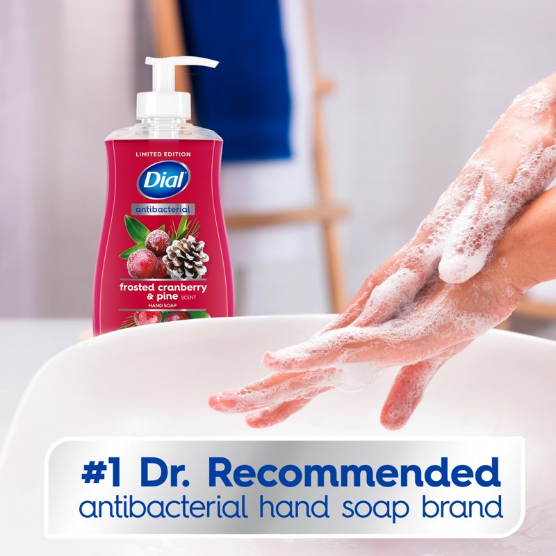 Frosted Cranberry & Pine Liquid Hand Soap - Seasonal Antibacterial 11 oz