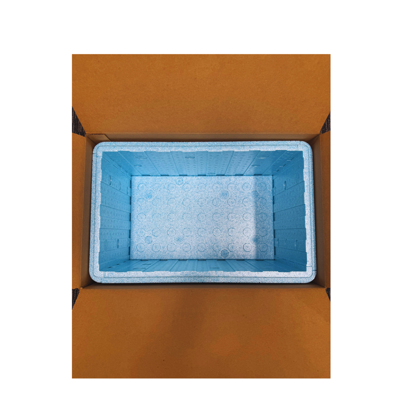 Insulated Cold Shipping Box with Foam Cooler - Reusable & Recyclable, 17 ³⁄₁₆ x 10 ³⁄₁₆ x 8 ¼ Inches