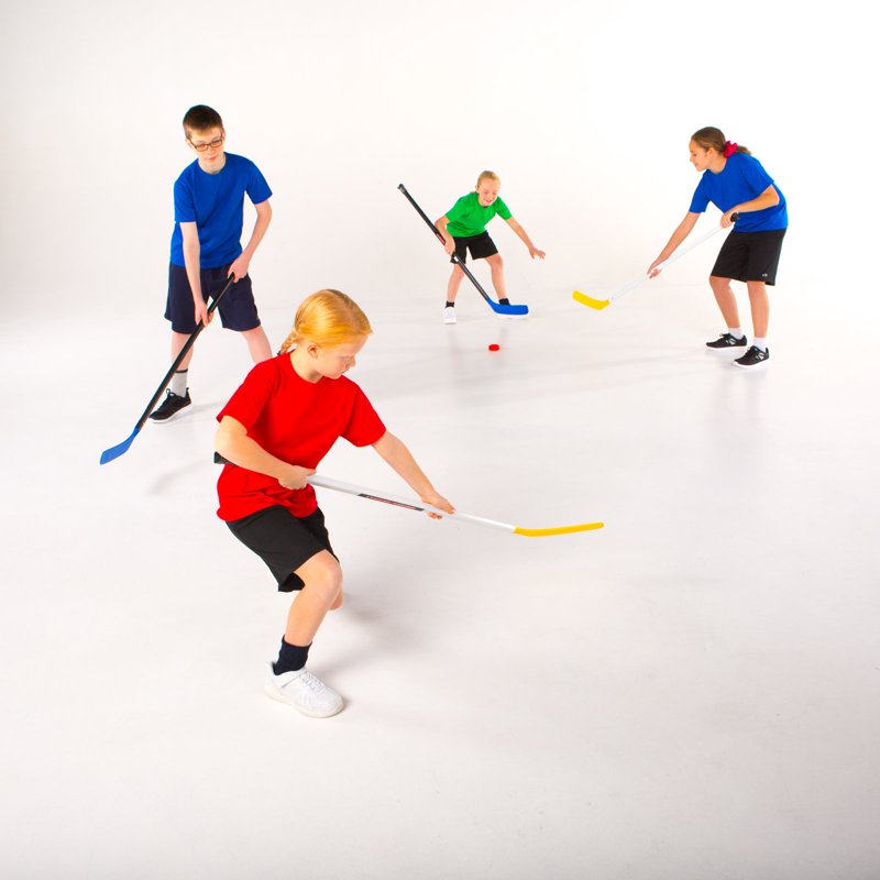 Junior Hockey Sticks for Kids - 16 Pieces, 43-Inch Standard Shafts