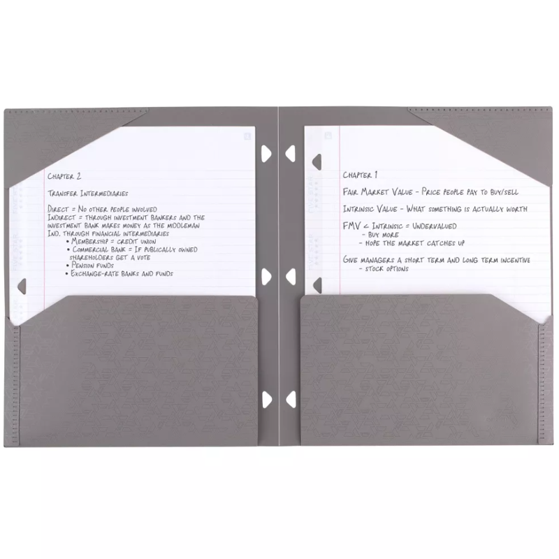 2-Pocket Plastic Folder for School & Office - Stay-Put Letter Size, 11.75 x 9.5 inches