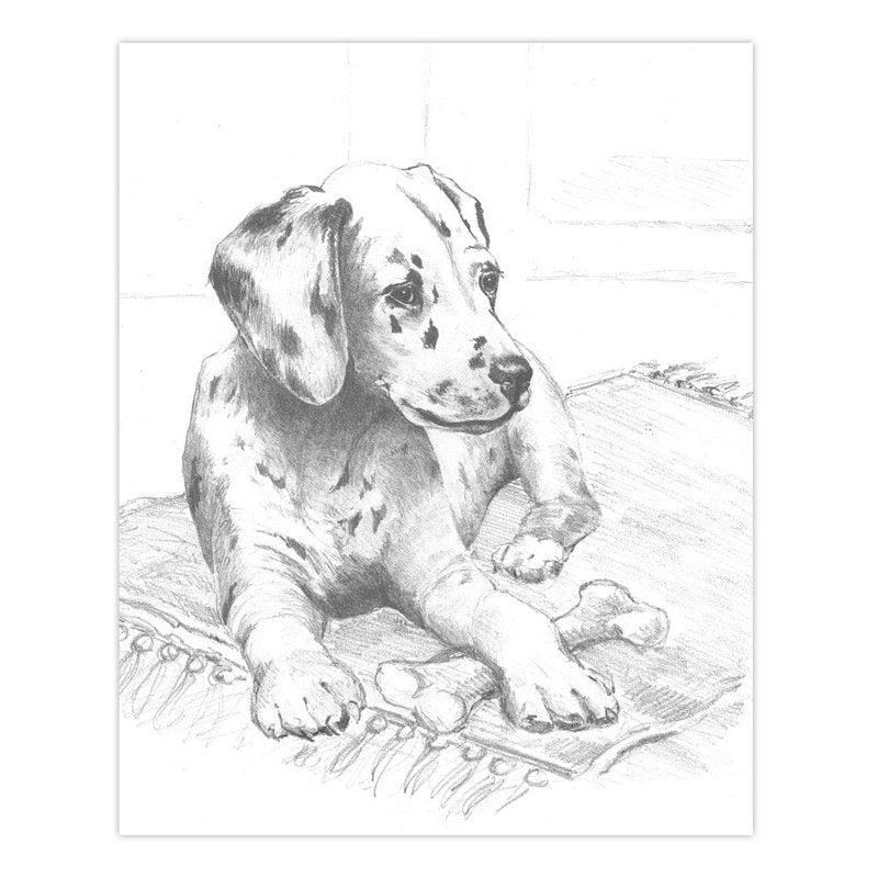 Animals Sketching Activity Set with 9 Projects for Beginners - Art & Drawing Supplies
