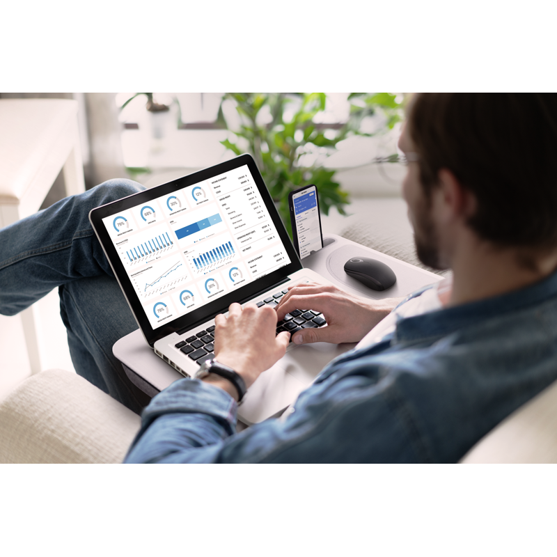 Portable Lap Desk for 15.6-Inch Laptops, Phone & Tablet Stand, Greystone