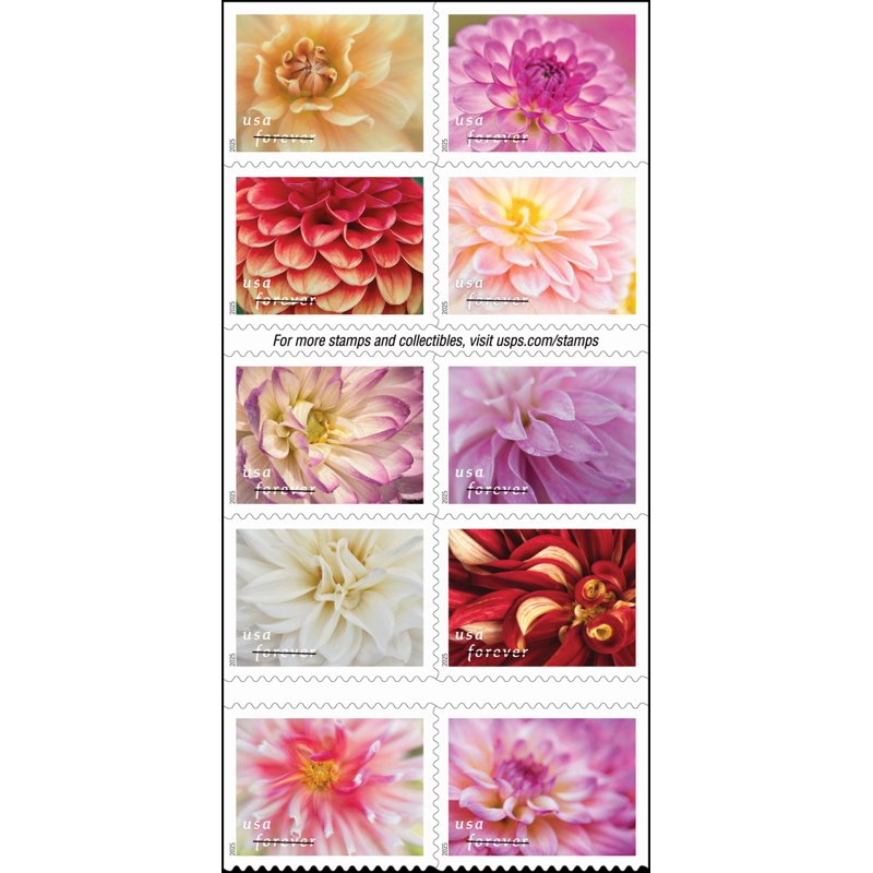 Dahlias USPS Forever Postage Stamps - Flower Celebration Wedding Holiday