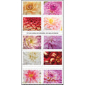 Dahlias USPS Forever Postage Stamps - Flower Celebration Wedding Holiday