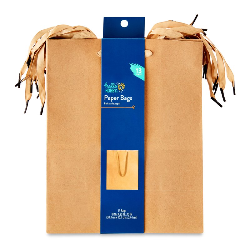 Large Kraft Paper Bags with Handles - 8x10 Inches, Pack of 13