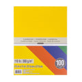 Assorted Color Cardstock Paper Sheets 8.5 x 11 Inches - 100 Sheets, Acid & Lignin Free