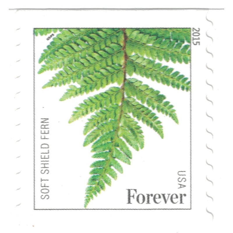 Ferns Postage Stamps Collection - 20, 50, or 100 All Variants