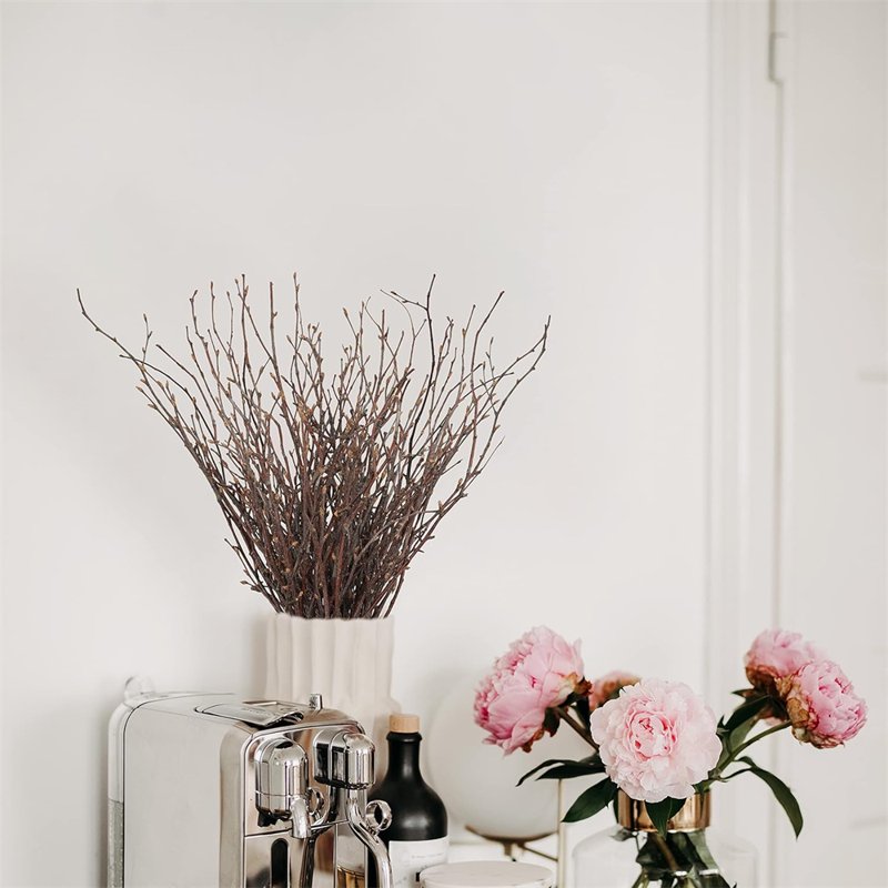 Dried Birch Twigs Branches for Vase Fillers and Decor - 20 Pack, Rustic Natural Look