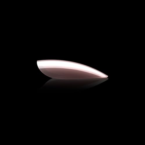 Apres Neutrals Gel-X Mia Box Of Press On Nails, 11 Sizes 00-9, Soft Gel Nail Tip Box (150pcs) (Natural Stiletto Short, 150pcs)