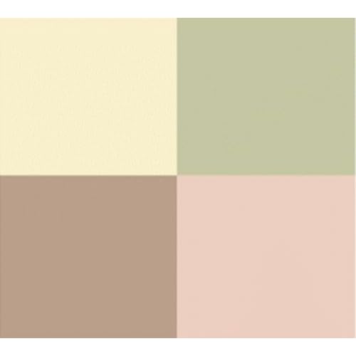 DR HAUSCHKA Colour Correcting Powder 00, 8 GR