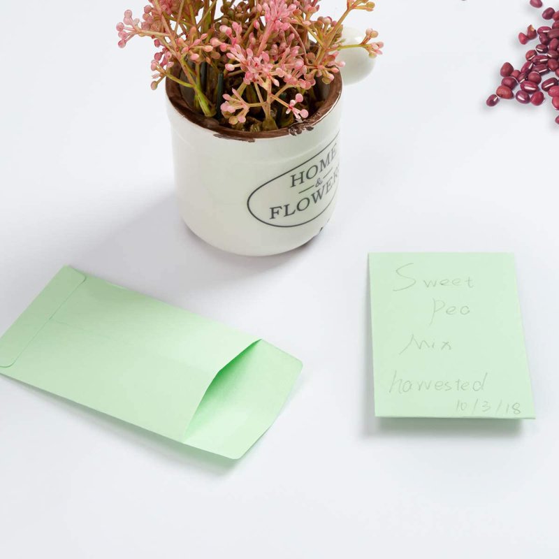 200 Colorful Self-Adhesive Seed & Coin Envelopes 2 1/4×3 1/2 in Storage Pack