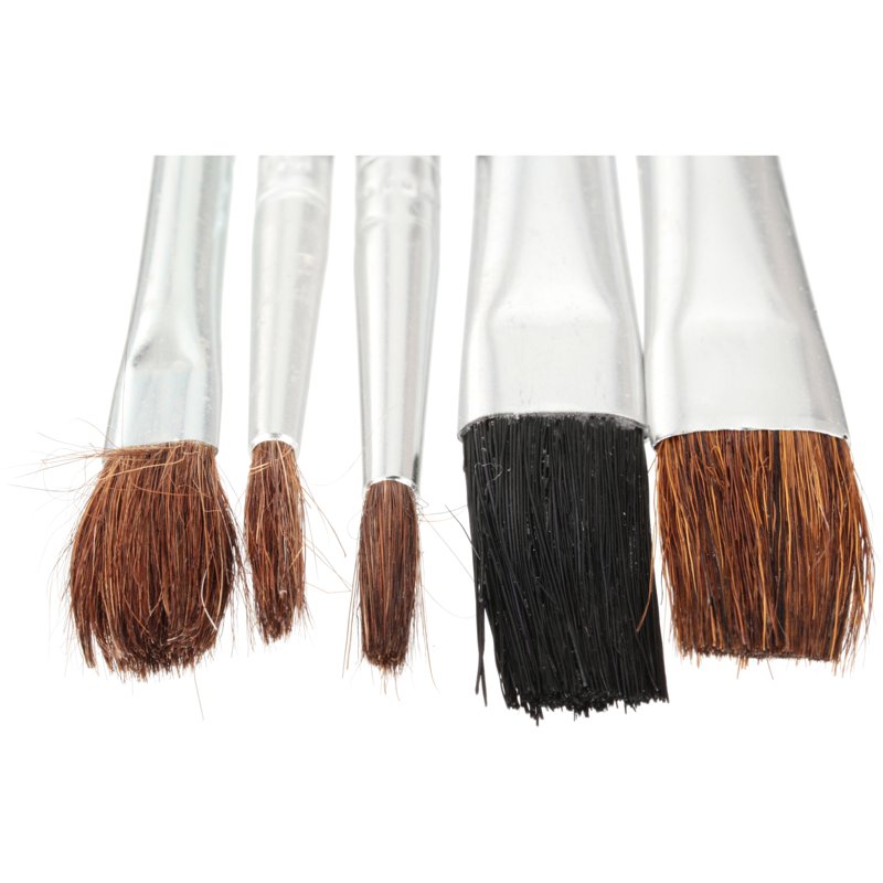 5-Piece Artist Paint Brush Set for Oils Watercolors Acrylics - Natural Bristles