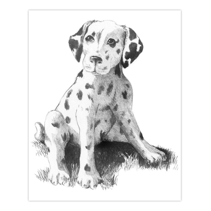 Animals Sketching Activity Set with 9 Projects for Beginners - Art & Drawing Supplies