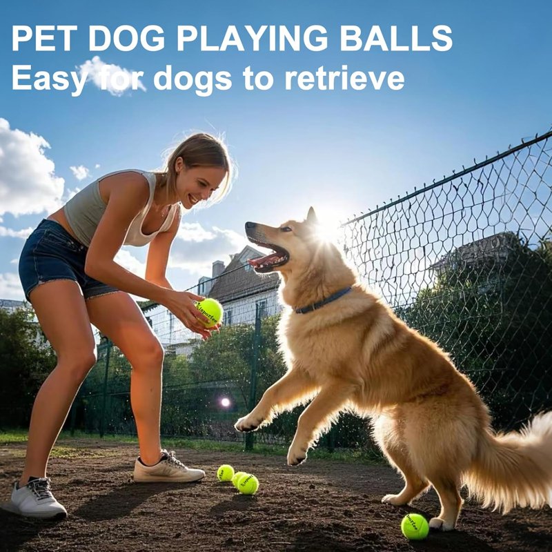 Bulk Tennis Balls for Practice & Dog Training - 12 Pack with Mesh Bag