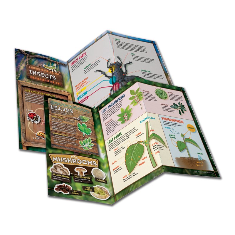 Outdoor Science Lab Kit for Kids - Educational Exploration & Nature Activities