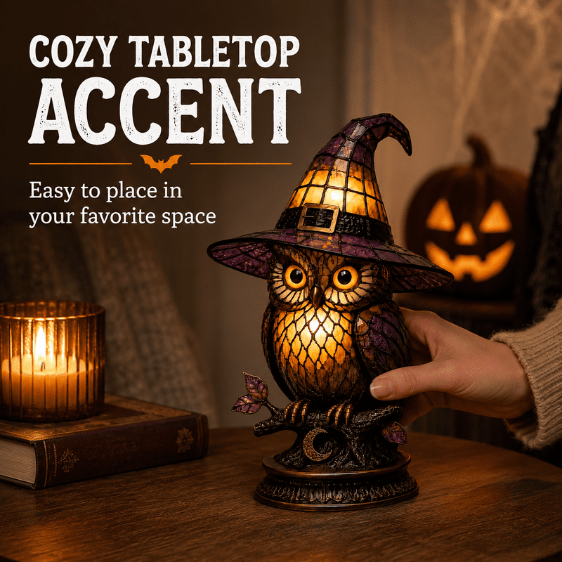 Witch Owl Night Light - 6 Inch Acrylic LED Desk Lamp (Variation: Black Cat Lamp-1)