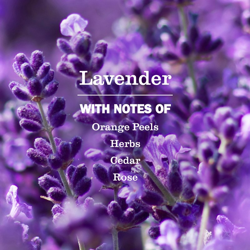 Mrs. Meyer’s Lavender Hand Soap Refill – Moisturizing, Plant-Based, 33 Fl Oz
