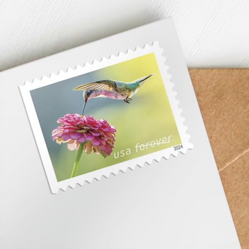 First-Class Mail Forever Postage Stamps - Garden Delights Flora & Fauna 2024