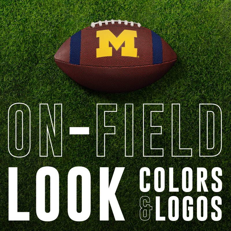 Kids NCAA Junior Football - Michigan Wolverines 8.5-Inch Youth Football with Team Logos
