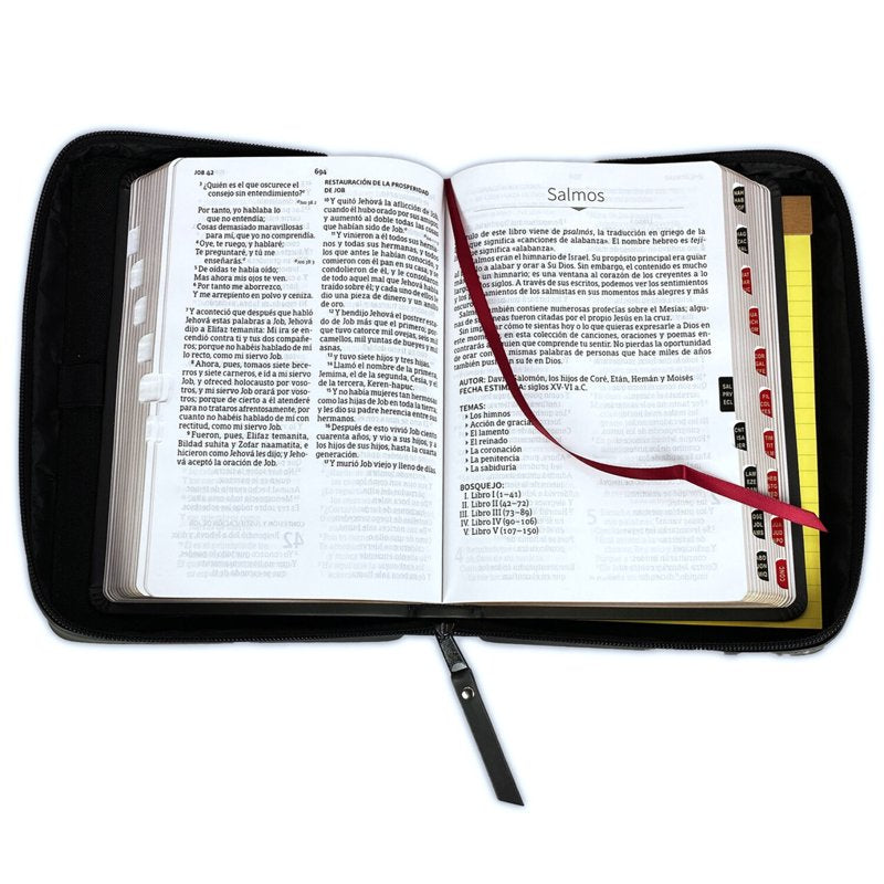 Bible Organizer with Notes & Tabs, Large Print, RV1960, Black