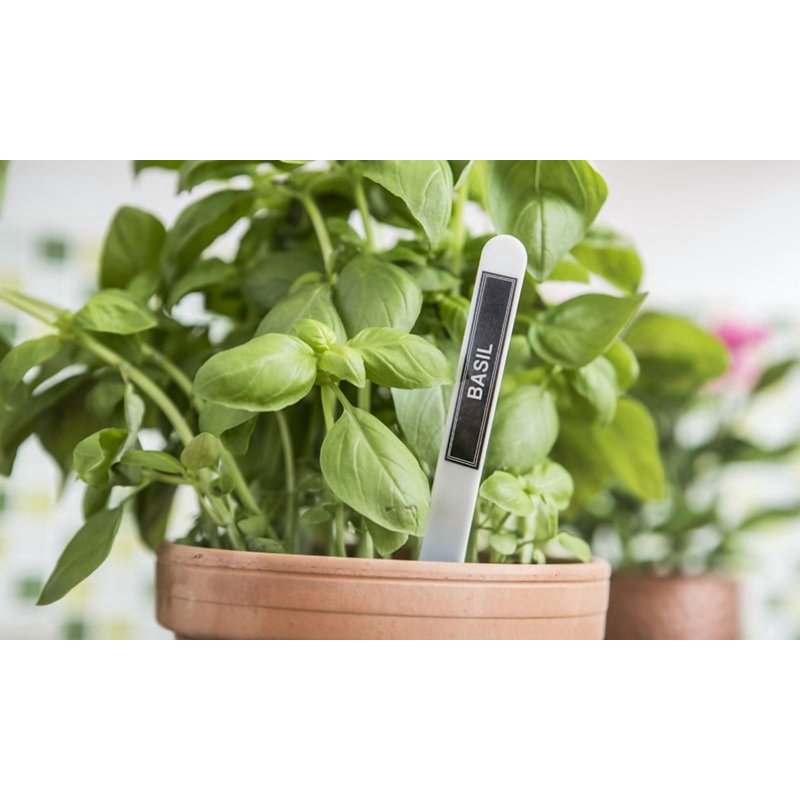 Bluetooth Smartphone Label Maker with Templates - P-Touch Cube Blue