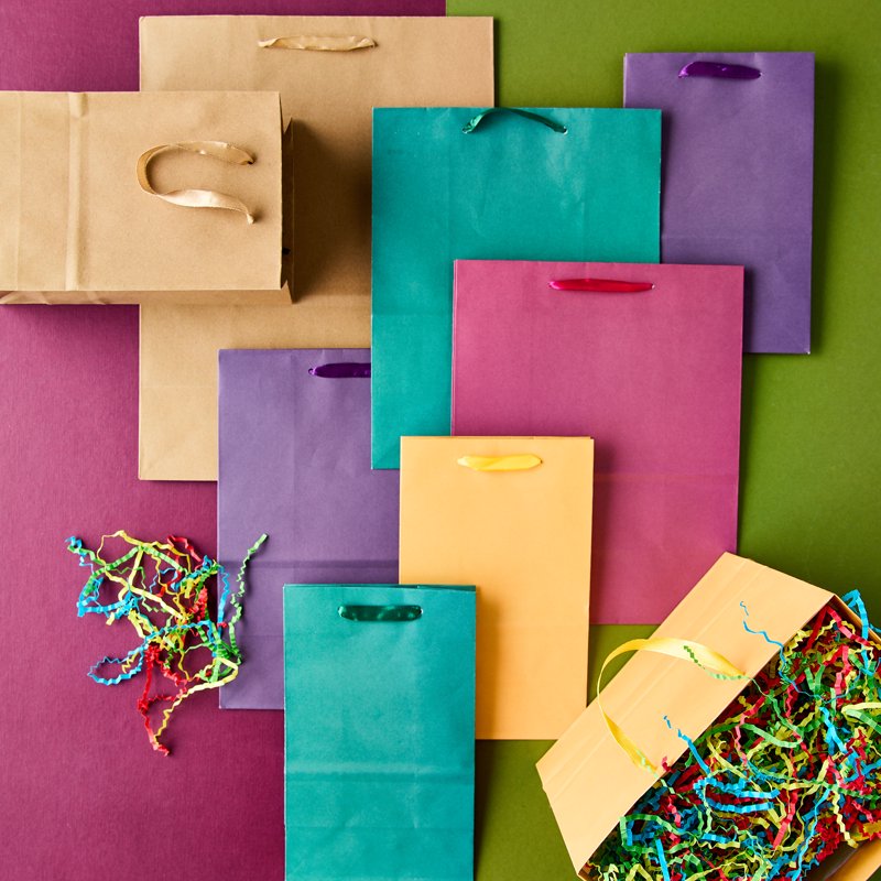 Large Kraft Paper Bags with Handles - 8x10 Inches, Pack of 13