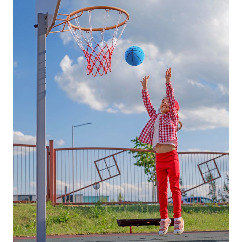 6-Inch Blue Silent Indoor Basketball for Kids and Casual Play