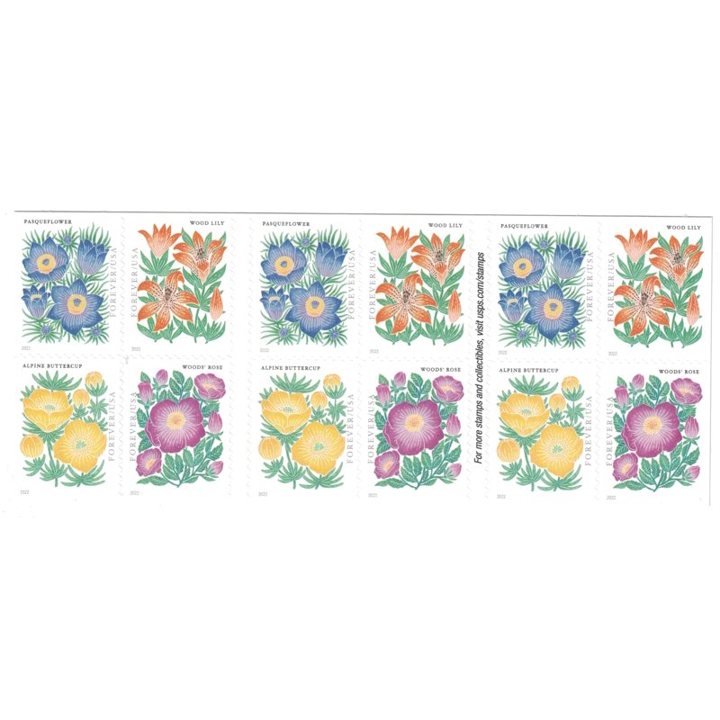 USPS Forever Postage Stamp Book of 20 Mountain Flora Flower Art First Class
