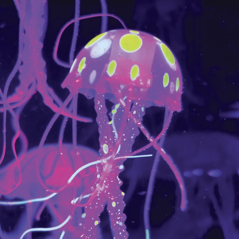 12-Inch Color-Morphing Jellyfish Aquarium Lamp for Kids - Educational Sea Life Display