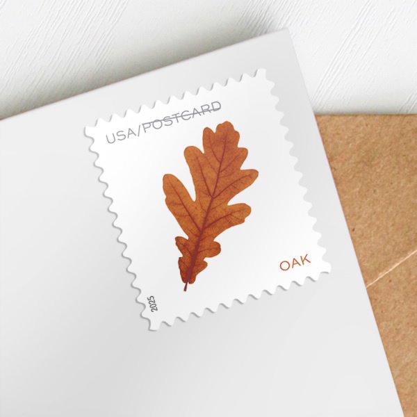 Vibrant Leaf Postage Stamps USPS First Class Forever Set for Seasons & Celebrations