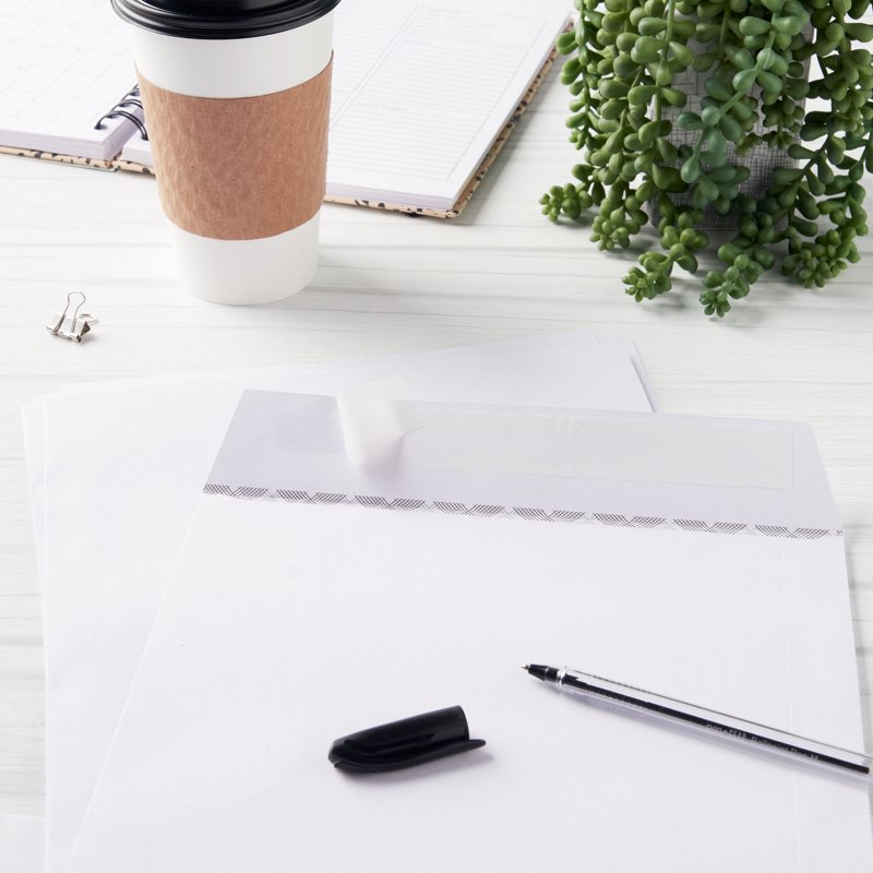 Office Envelopes - Peel & Stick Catalog Mailers, White, 9x12 Inch, Pack Variants