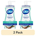 2 Pack Antibacterial Foaming Hand Soap with Coconut Water Scent - 7.5 Fl Oz
