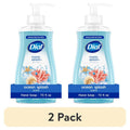 Liquid Hand Soap 2 Pack - Gentle, Deep Cleansing, pH Balanced, Ocean Splash Scent