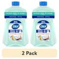2 Pack Liquid Hand Soap Refill - Coconut Water & Mango, Gentle & Deep Cleansing