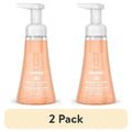 Foaming Hand Soap with Sandalwood and Cedar - 10 oz | Naturally Derived & Paraben-Free