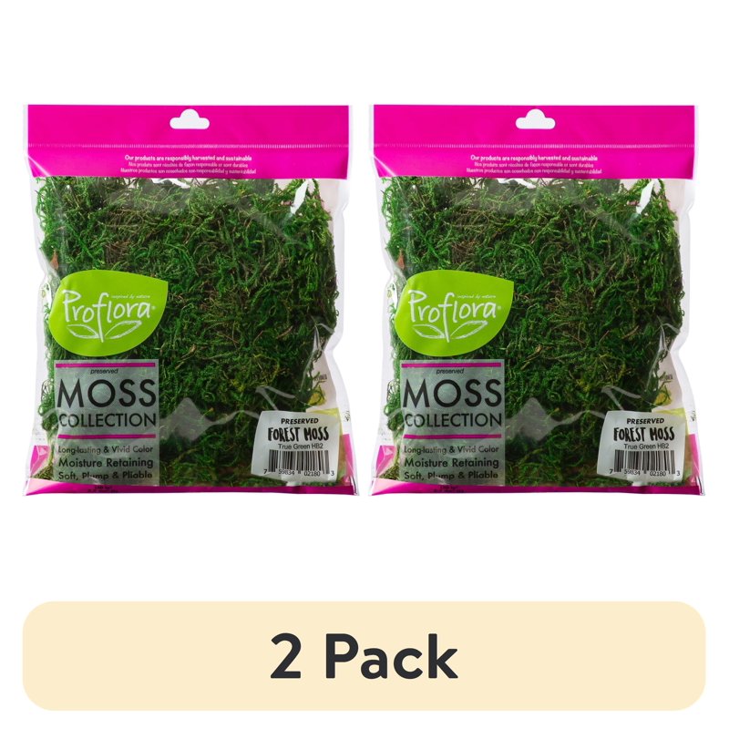 Green Preserved Forest Moss for Floral & Craft Arrangements - 2oz 2 Pack