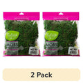 Green Preserved Forest Moss for Floral & Craft Arrangements - 2oz 2 Pack
