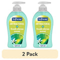 Antibacterial Hand Soap with Fresh Citrus Scent - 2 Pack, 11.25 fl oz