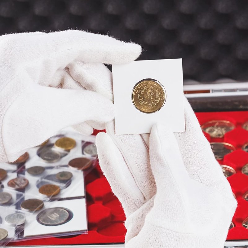 200pcs Cardboard Coin Holders 2x2 Inch for Coin Collecting & Display
